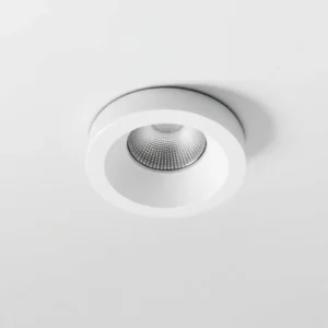 Trimless Downlight